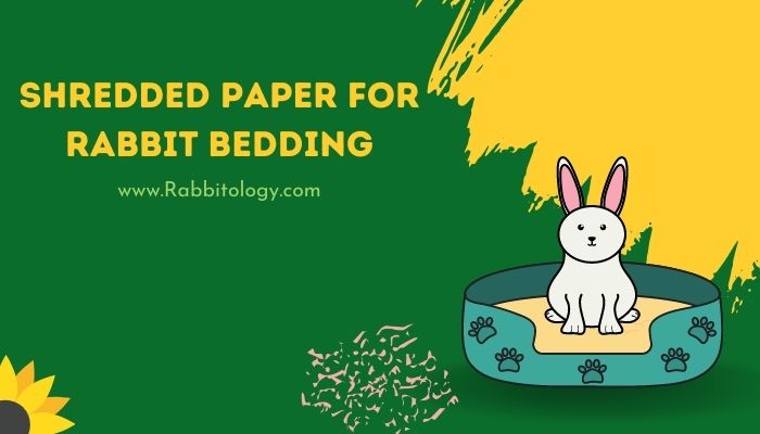 shredded paper for rabbit bedding