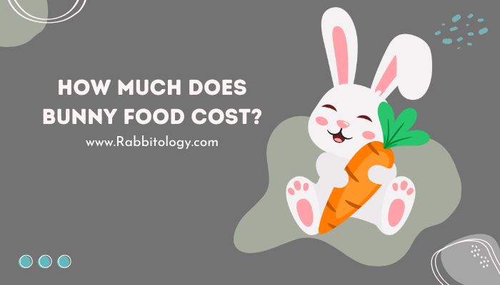 how much does bunny food cost