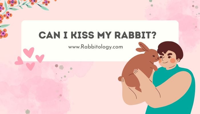 Can I Kiss My Rabbit